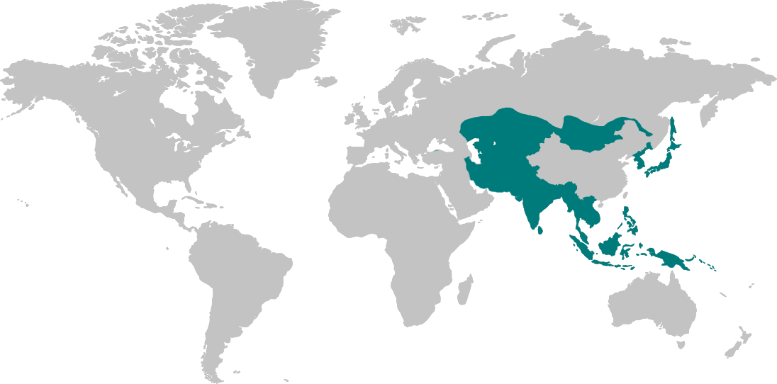 旺财28·(中国平台)官方网站